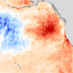 The blob, in red, off the West Coast in July 2015. The darker the red, the higher above average the ocean temperature.